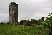 W5869 : Castles of Munster: Ballincollig, Cork (2) by Mike Searle