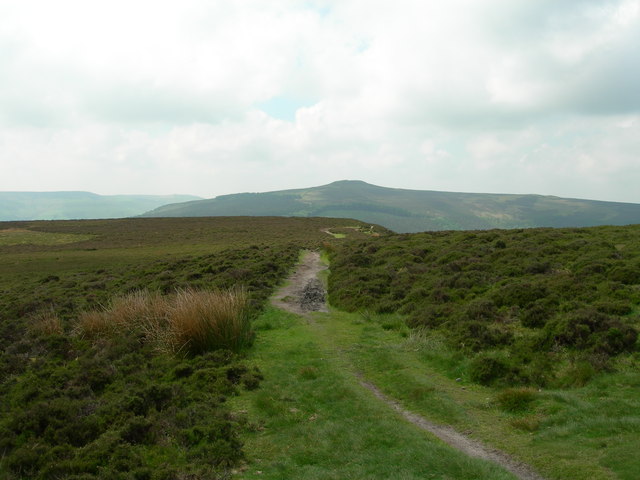 Top of Lead Hill