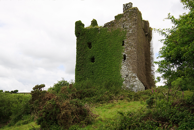 Castles of Munster: Ballinvard, Cork (1)