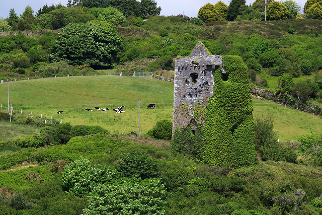 Castles of Munster: Raheen, Cork (2)