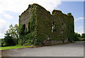 R8400 : Castles of Munster: Ballyderown, Cork by Mike Searle