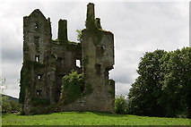 W0486 : Castles of Munster: Killagha, Kerry (2) by Mike Searle