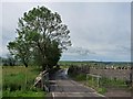 Cattle grid, Gelligaer Common