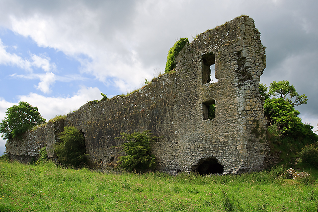 Castles of Munster: Glenogra, Limerick (1)