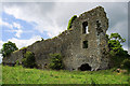R5941 : Castles of Munster: Glenogra, Limerick (1) by Mike Searle