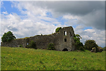 R5941 : Castles of Munster: Glenogra, Limerick (2) by Mike Searle