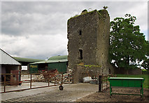 S0648 : Castles of Munster: Nodstown, Tipperary (2) by Mike Searle