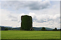S3422 : Castles of Munster: Ballynoran, Tipperary (2) by Mike Searle