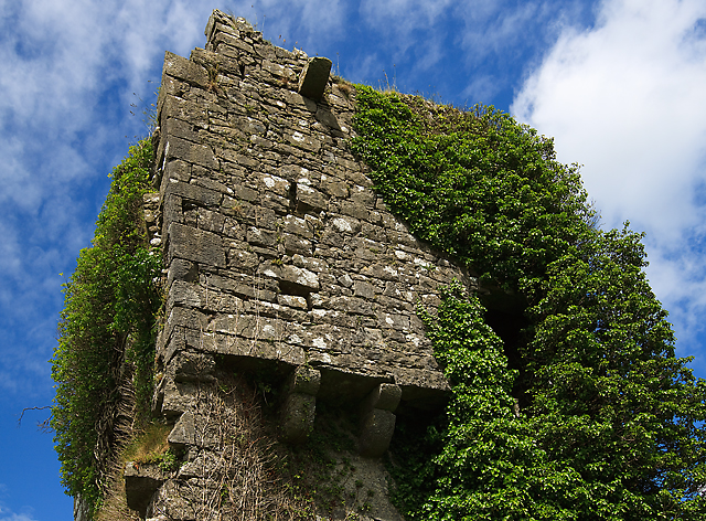 Castles of Munster: Mellison (detail), Tipperary (2)