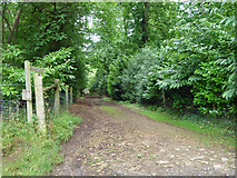 SU9939 : Bridleway 168 south of Mare Lane by Robin Webster