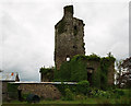 W9399 : Castles of Munster: Mocollop, Waterford (1) by Mike Searle