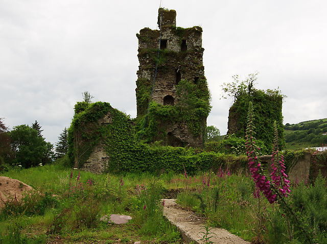 Castles of Munster: Mocollop, Waterford (2)