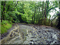 Bunch Lane in heavy rain