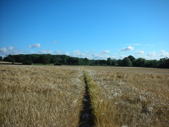 Footpath towards the Runghills