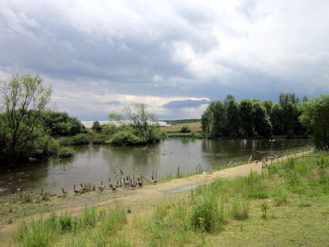 A pond on Cudworth Common