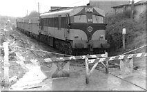 N8667 : Tara Mines train near Navan Jct by Albert Bridge