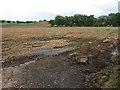 Ploughed field near Chapelton