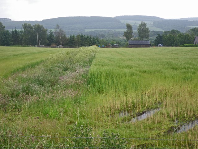 Soggy fields at the east of Drumoak