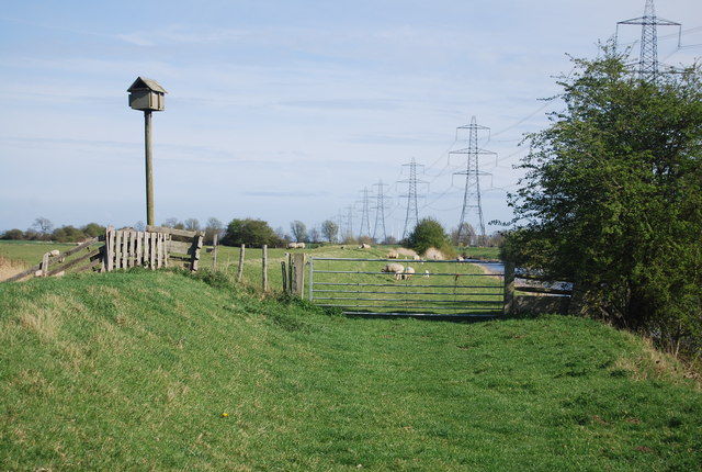 Gate, Sussex Border Path
