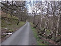 Lane onto the mountain