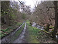 Track beside Nant y Pandy