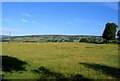 View towards Hergest Ridge