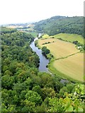 SO5616 : The Wye Valley from above at Symonds Yat by Jeff Buck
