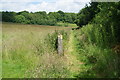 Footpath from Harbledown to Rough Common