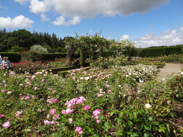 RHS Rosemoor gardens
