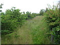 Footpath to Tutt Hill