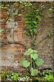 Galleting in a cottage wall at Witley (1)