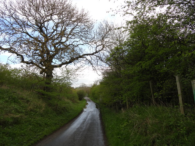 Road leading past Bishop Middleham Quarry