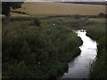 SU5731 : River Itchen by Colin Smith