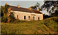 Old cottage, Banbridge