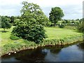 The River Forth