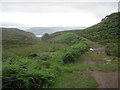 NM4239 : Track (part of The Livingstone Walk on Ulva) by Les Hull