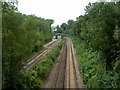 Sidings on Medway Valley line