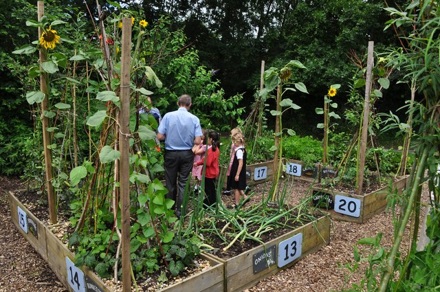 Tiverton : Two Moors Primary School - Kitchen Garden