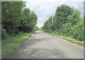 Buckland Road southeast of Hedgefields Farm