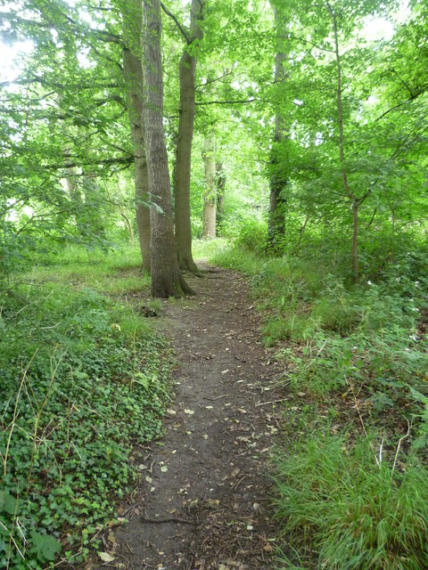 Path in Foxley Wood © Marathon cc-by-sa/2.0 :: Geograph Britain and Ireland