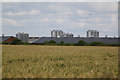 Poultry farm at North Clifton 