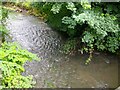 River  Stour Amblecote