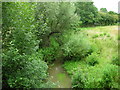 Stream below the Grand Union Canal