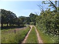 Approaching Hamstead Farm on the coastal path