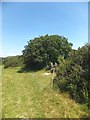 Stile for coastal path at Hamstead