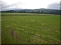 Fields near Tilbouries Lodge