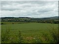 Arable fields near Hampeth