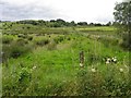 Gortnagross Townland