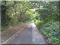 Narrow section of Botley Road