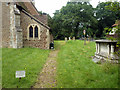 Longish grass, Wyke churchyard